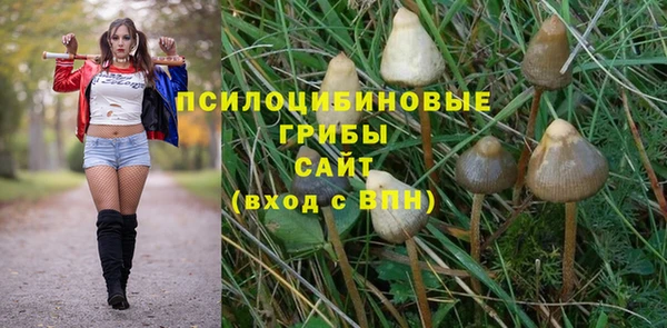 mix Алексин