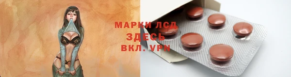 сатива Алзамай