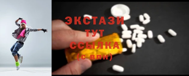 СК Анива