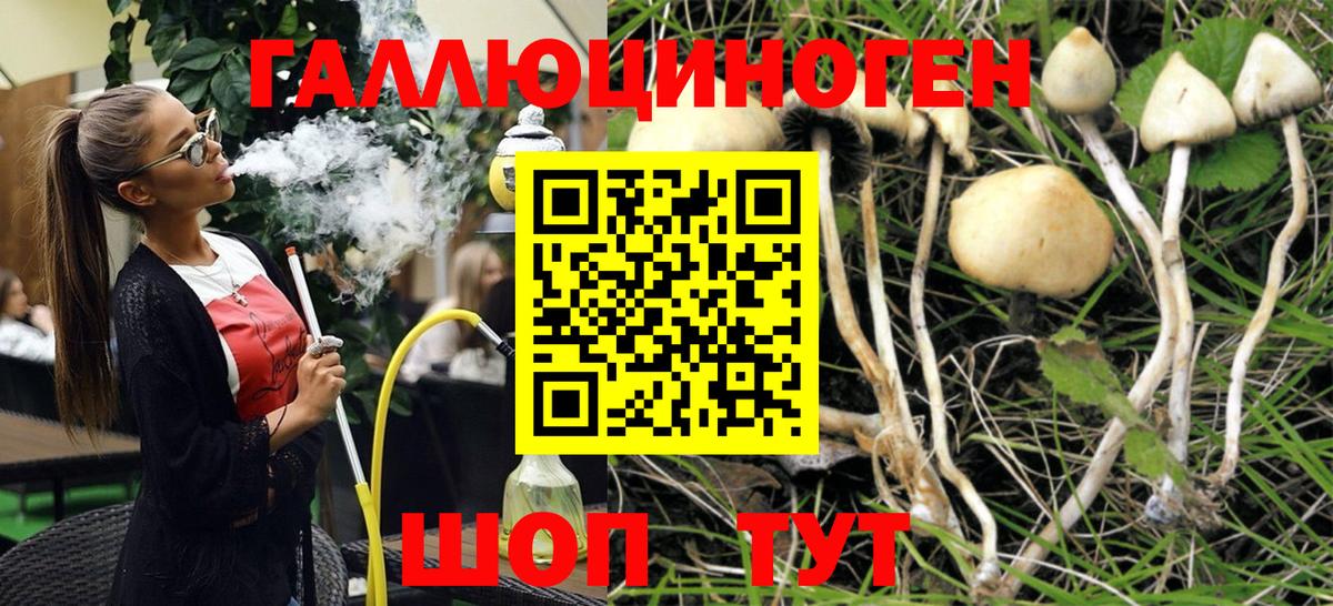 Псилоцибиновые грибы мухоморы Джанкой