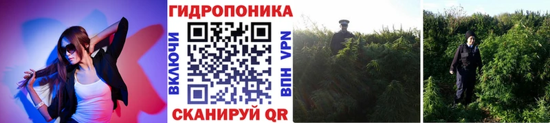 кракен маркетплейс  Джанкой  Конопля White Widow  купить наркоту 